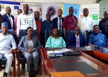 Lasting Resolution to Yenga Border Dispute  —ECOWAS Delegation Engages MoPED