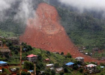 Environment Minister Raises Alarm over Deforestation at Mount Sugar Loaf