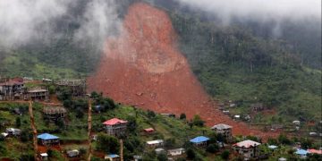 Environment Minister Raises Alarm over Deforestation at Mount Sugar Loaf