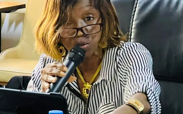 INGO Country Directors and MoPED Discuss Deepening Partnerships and Coordination in Service Delivery