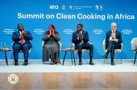 Clean Cooking CEO Hails Sierra Leone’s Leadership in Climate and Energy Transition