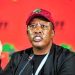 Julius Malema Found Guilty of Illegal Gun Possession and Public Firing