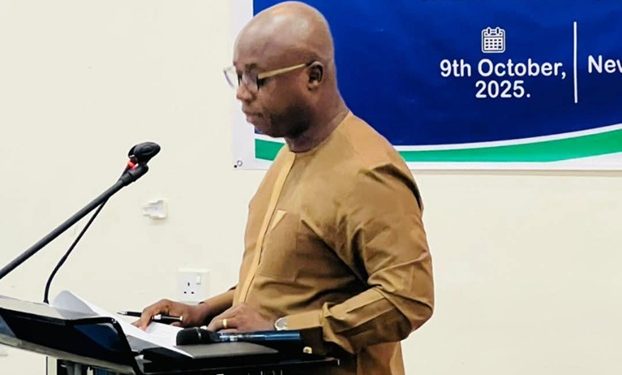 SLANGO Board Chair Highlights NGO Impact and Funding Challenges