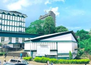 USL Bans Class Representatives Over Misconduct Allegations