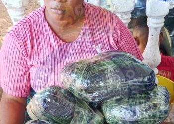 Woman Sentenced to 3 Years for Possession of Harmful Substances