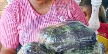 Woman Sentenced to 3 Years for Possession of Harmful Substances