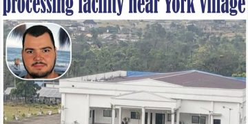 A Nation in Crisis: While the Judiciary is Weaponized Against Dissent, Sierra Leone Becomes a Safe Haven for Transnational Criminality