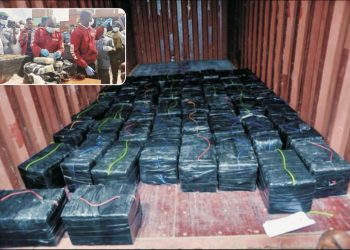 Ports and Harbours Authority denies knowledge of cocaine claim; provides detailed movement records for Container GCNU1332851