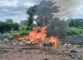 Pharmacy Board of Sierra Leone Incinerates Over NLe172, 000 worth of Substandard and Falsified Drugs in Kenema