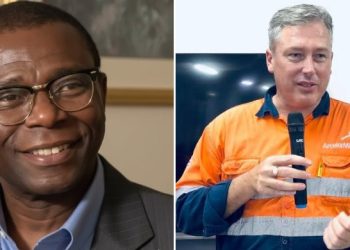 ‘Sovereignty is at Stake’ – Liberian Diaspora Group Calls for Overhaul of Resource Management