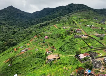 Sierra Leone officials facilitated illegal mansion-building in a key national park