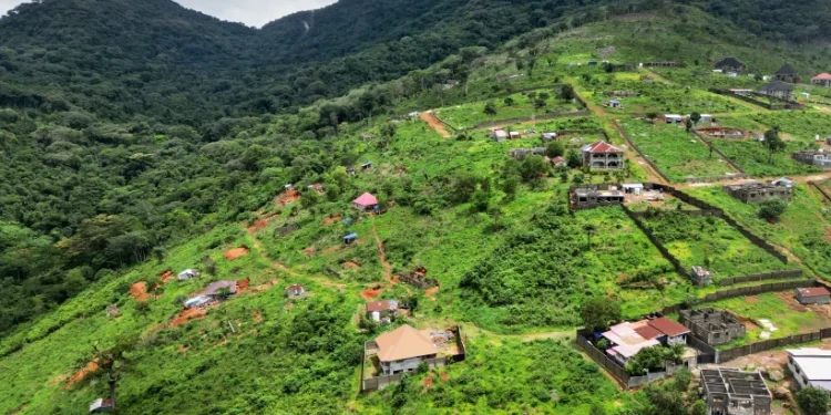 Sierra Leone officials facilitated illegal mansion-building in a key national park