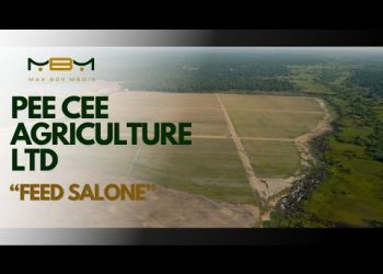 Pee Cee Agriculture Limited: Pioneering Food Security and Sustainability in Sierra Leone