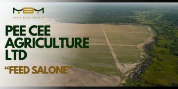 Pee Cee Agriculture Limited: Pioneering Food Security and Sustainability in Sierra Leone