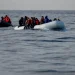 Four Dead in Channel Crossing Tragedy off Northern France