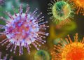 Hantavirus Cases Confirmed After Deaths on Atlantic Cruise Ship