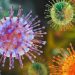 Hantavirus Cases Confirmed After Deaths on Atlantic Cruise Ship