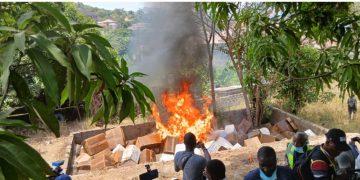 SLPHA, other Agencies Destroy $2.5M Worth of Drugs