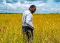 Agriculture Ministry Budget Raises Questions as Food Prices Soar
