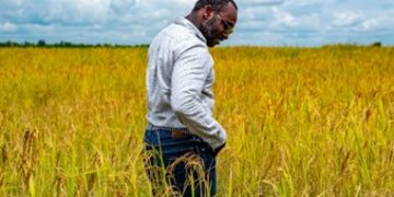 Agriculture Ministry Budget Raises Questions as Food Prices Soar