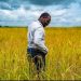 Agriculture Ministry Budget Raises Questions as Food Prices Soar