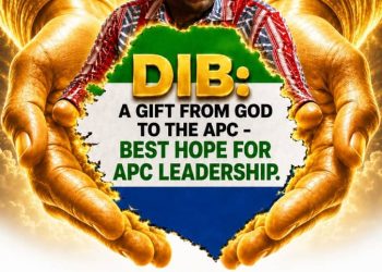 APC, THE ANSWER MAY ALREADY BE IN OUR HANDS: HEAL. UNITE. BUILD.